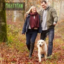 Mighty Paw Nylon Dual Handle Bungee Dog Leash, 46-in -PetSafe Kong Shop 342210 PT4. AC SS1800 V1636996592