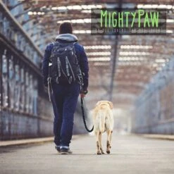 Mighty Paw Nylon Dual Handle Bungee Dog Leash, 46-in -PetSafe Kong Shop 342210 PT5. AC SS1800 V1636996599