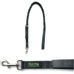 Mighty Paw Nylon Dual Handle Bungee Dog Leash, 46-in -PetSafe Kong Shop 342210 PT7. AC SS1800 V1636994839