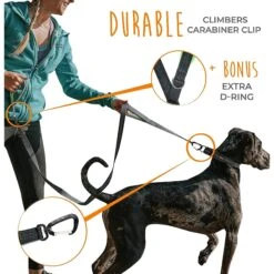 Mighty Paw 2.0 Neoprene Dual Handle HandleX2 Dog Leash, 72-in -PetSafe Kong Shop 342213 PT4. AC SS1800 V1636998389