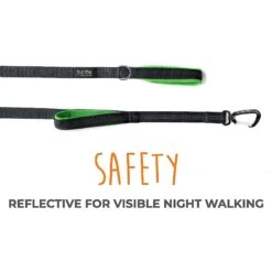 Mighty Paw 2.0 Neoprene Dual Handle HandleX2 Dog Leash, 72-in -PetSafe Kong Shop 342213 PT6. AC SS1800 V1636998396