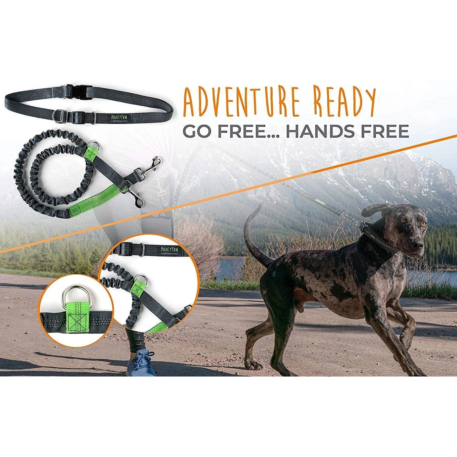Mighty Paw Hands Free Nylon Bungee Dog Leash Set 2 Mighty Paw Hands Free Nylon Bungee Dog Leash Set - Image 2
