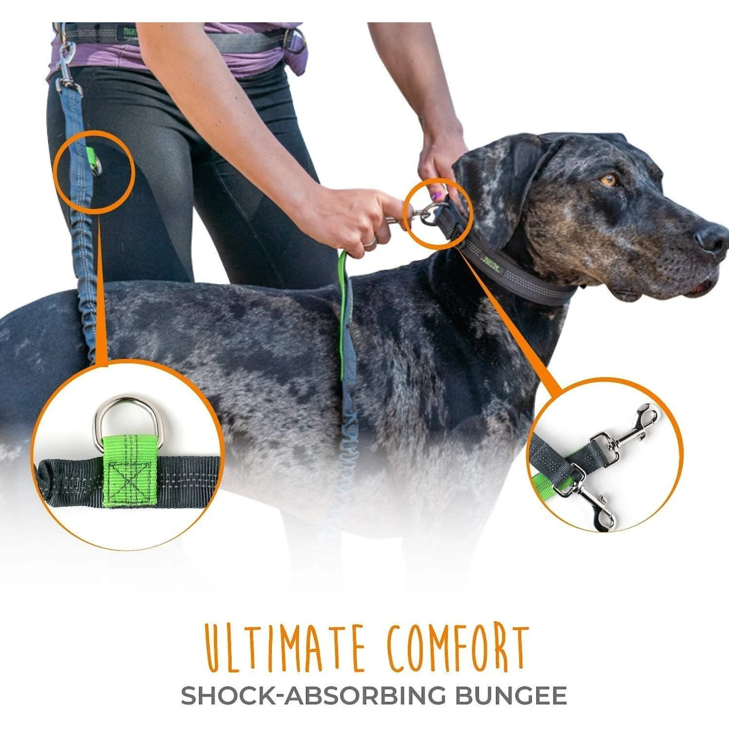 Mighty Paw Hands Free Nylon Bungee Dog Leash Set 3 Mighty Paw Hands Free Nylon Bungee Dog Leash Set - Image 3