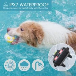 GroovyPets One-Dog Kit 800 Yard Waterproof Long-Life Rechargeable Remote Dog Training Shock Collar System -PetSafe Kong Shop 342222 PT6. AC SS1800 V1635289044