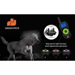 GroovyPets One-Dog Kit 800 Yard Waterproof Long-Life Rechargeable Remote Dog Training Shock Collar System -PetSafe Kong Shop 342222 PT7. AC SS1800 V1635291733