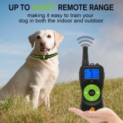 GroovyPets Three-Dog Kit 800 Yard Waterproof Long-Life Rechargable Remote Dog Training Shock Collar System 13 GroovyPets Three-Dog Kit 800 Yard Waterproof Long-Life Rechargable Remote Dog Training Shock Collar System -PetSafe Kong Shop 342226 PT4. AC SS1800 V1635281825
