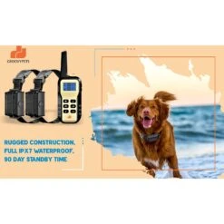 GroovyPets One Dog Set 1100 Yard Auto Anti Bark, Humane Beep, Vibration, Static Shock Waterproof Rechargeable Dog Training Shock Collar System -PetSafe Kong Shop 342228 PT3. AC SS1800 V1635282141