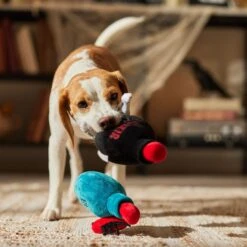 Frisco Halloween Elixirs Plush Squeaky Dog Toy -PetSafe Kong Shop 344004 PT3. AC SS1800 V1689878498