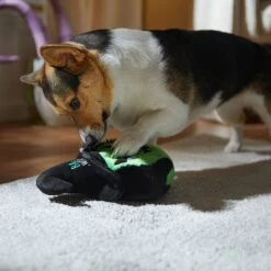 Frisco Halloween Bad Witch Round Plush Squeaky Dog Toy -PetSafe Kong Shop 344006 PT3. AC SS1800 V1657657029