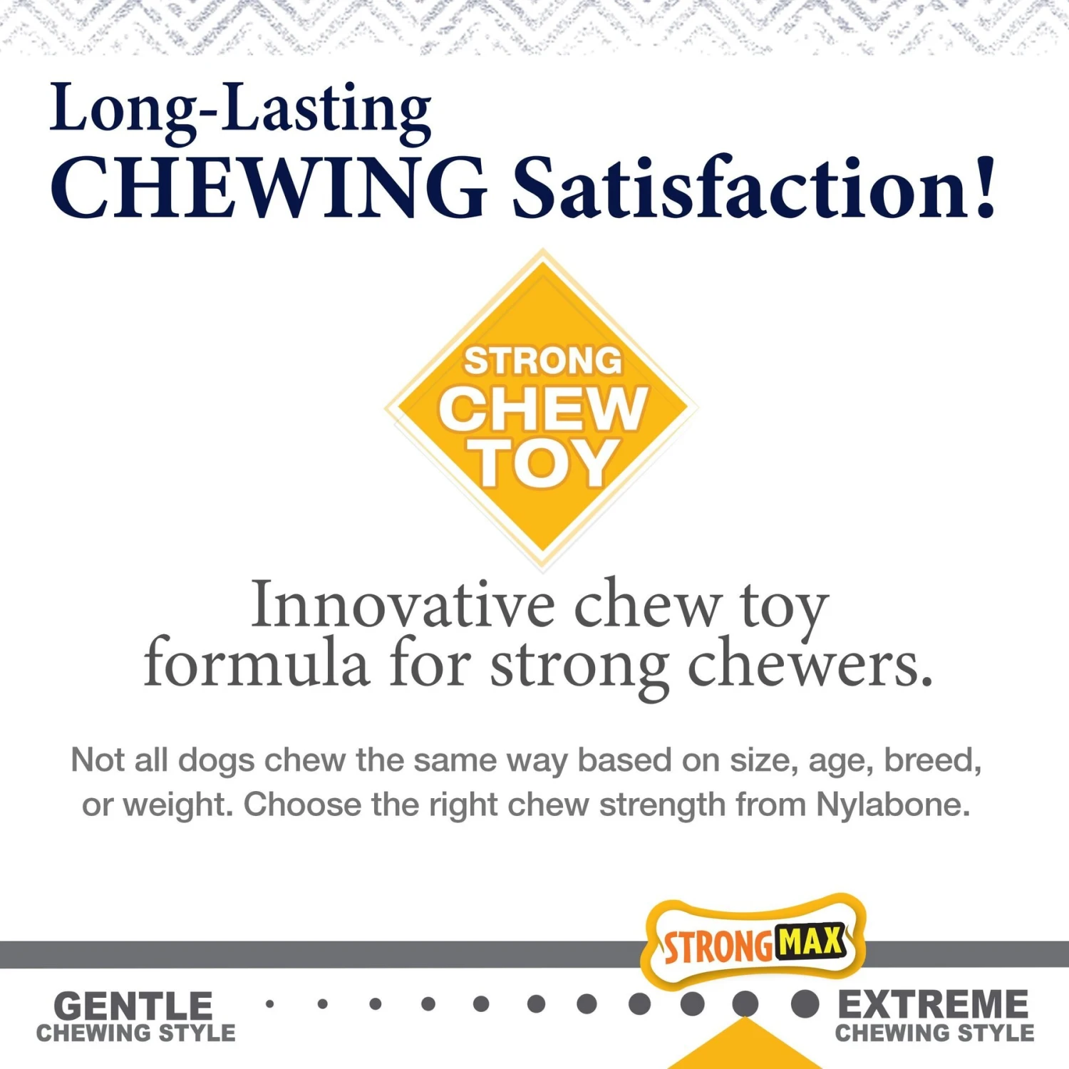 Nylabone Gourmet Style Strong Chew Wishbone Bacon Dog Toy 9 Nylabone Gourmet Style Strong Chew Wishbone Bacon Dog Toy - Image 9