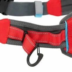 Kurgo K9 Excursion Polyester Reflective Hands-Free Running Dog Leash -PetSafe Kong Shop 344037 PT3. AC SS1800 V1635261082