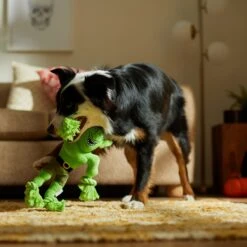 Frisco Halloween Goblin Plush With Rope Squeaky Dog Toy 7 Frisco Halloween Goblin Plush With Rope Squeaky Dog Toy -PetSafe Kong Shop 344132 PT3. AC SS1800 V1657657042