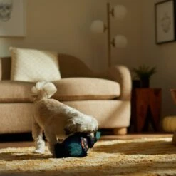 Frisco Halloween Lantern Ballistic Nylon Plush Squeaky Dog Toy -PetSafe Kong Shop 344138 PT3. AC SS1800 V1657657042