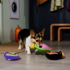 Frisco Halloween Potion Bottles Plush Squeaky Dog Toy -PetSafe Kong Shop 344144 PT3. AC SS1800 V1657657048