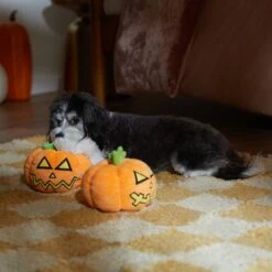 Frisco Halloween Scary Jack-O-Lantern Plush Squeaky Dog Toy 7 Frisco Halloween Scary Jack-O-Lantern Plush Squeaky Dog Toy -PetSafe Kong Shop 344158 PT3. AC SS1800 V1657657048