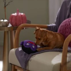 Frisco Halloween Vampire Round Plush Squeaky Dog Toy -PetSafe Kong Shop 344168 PT3. AC SS1800 V1657657049