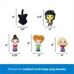 Disney Halloween Hocus Pocus Cauldron Hide & Seek Puzzle Plush Toy Squeaky Dog Toy -PetSafe Kong Shop 344459 PT2. AC SS1800 V1689876467