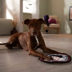 Disney Villains Cruella De Vil Flat Plush Squeaky Dog Toy -PetSafe Kong Shop 344469 PT3. AC SS1800 V1657657086