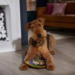 Disney Villains Evil Queen Mirror Flat Plush Squeaky Dog Toy 5 Disney Villains Evil Queen Mirror Flat Plush Squeaky Dog Toy -PetSafe Kong Shop 344473 PT3. AC SS1800 V1657657086