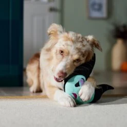 Disney Villains Maleficent Round Plush Squeaky Dog Toy 5 Disney Villains Maleficent Round Plush Squeaky Dog Toy -PetSafe Kong Shop 344479 PT3. AC SS1800 V1657657087