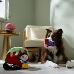 Disney Villains Snow White & The Evil Queen Hide & Seek Puzzle Plush Squeaky Dog Toy 5 Disney Villains Snow White & The Evil Queen Hide & Seek Puzzle Plush Squeaky Dog Toy -PetSafe Kong Shop 344481 PT3. AC SS1800 V1657657087