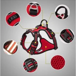 Chai's Choice Premium Quick Release Outdoor Adventure 3M Polyester Reflective Front Clip Dog Harness -PetSafe Kong Shop 344573 PT2. AC SS1800 V1637021223