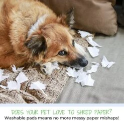 Green Lifestyle Printed Reusable Cat & Dog Pee Pads, Blue & White 14 Green Lifestyle Printed Reusable Cat & Dog Pee Pads, Blue & White -PetSafe Kong Shop 344909 PT6. AC SS1800 V1637112428