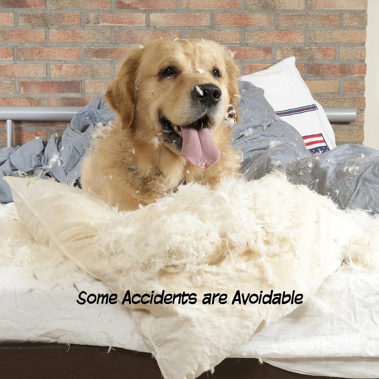 Pet Adobe Freestanding Wooden Folding Dog Gate 4 Pet Adobe Freestanding Wooden Folding Dog Gate - Image 4