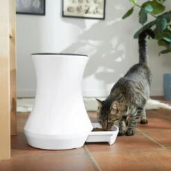 Frisco Automatic Cat & Dog Feeder, White, 13.5 Cup -PetSafe Kong Shop 345285 PT6. AC SS1800 V1658219294