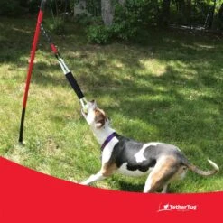 Tether Tug Big Dog Toy -PetSafe Kong Shop 345338 PT3. AC SS1800 V1642015019