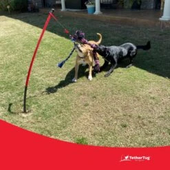 Tether Tug Big Dog Toy -PetSafe Kong Shop 345338 PT4. AC SS1800 V1642016222