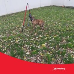 Tether Tug Big Dog Toy -PetSafe Kong Shop 345338 PT6. AC SS1800 V1642017406