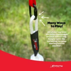 Tether Tug Big Dog Toy -PetSafe Kong Shop 345338 PT7. AC SS1800 V1642017130