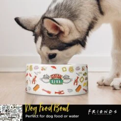 Fetch For Pets Friends "Joey Doesn't Share Food" Ceramic Dog Bowl -PetSafe Kong Shop 345618 PT5. AC SS1800 V1636387612