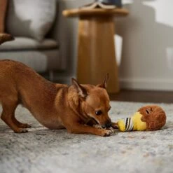 STAR WARS Candy Shop CHEWBACCA Ice Cream Plush With Rope Squeaky Dog Toy -PetSafe Kong Shop 346108 PT3. AC SS1800 V1659546954