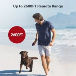 Petdiary Remote Training Shock Dog Collar, Small, Black & Orange, 2 Count -PetSafe Kong Shop 346408 PT2. AC SS1800 V1646796109