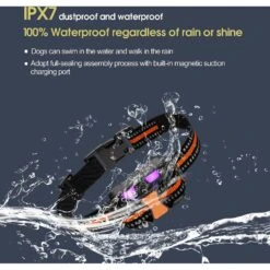 Petdiary Remote Training Shock Dog Collar, Small, Black & Orange, 2 Count -PetSafe Kong Shop 346408 PT3. AC SS1800 V1646795355