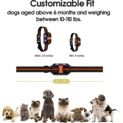 Petdiary Remote Training Shock Dog Collar, Small, Black & Orange, 2 Count -PetSafe Kong Shop 346408 PT5. AC SS1800 V1646787711
