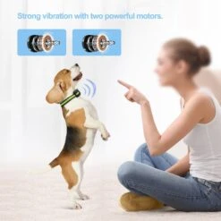 Petdiary Vibration Dog Bark Collar, Small -PetSafe Kong Shop 346411 PT2. AC SS1800 V1646780805