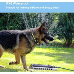 Petdiary Vibration Dog Bark Collar, Small -PetSafe Kong Shop 346411 PT3. AC SS1800 V1646783529