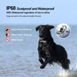 Petdiary Smart Bark Dog Bark Collar With Touch Screen, Small -PetSafe Kong Shop 346416 PT4. AC SS1800 V1646779318