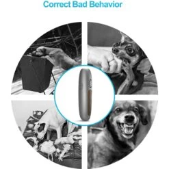 Petdiary UB100 Ultrasonic Dog Bark Control Device, Small, Silver Gray -PetSafe Kong Shop 346420 PT6. AC SS1800 V1651012327
