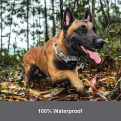 PATPET P920 Outdoor Dedicated 4000ft Remote Dog Training Collar -PetSafe Kong Shop 346422 PT4. AC SS1800 V1637608464