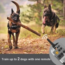 PATPET P920 Outdoor Dedicated 4000ft Remote Dog Training Collar -PetSafe Kong Shop 346422 PT6. AC SS1800 V1637608590