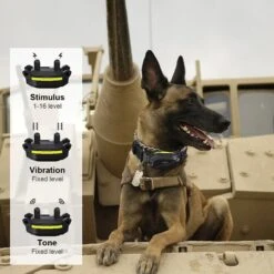 PATPET P910 Military Professional 3000-ft Remote Vibrating Dog Training Collar, Black -PetSafe Kong Shop 346424 PT3. AC SS1800 V1637608378