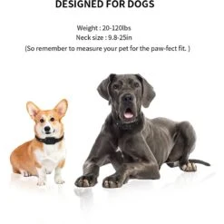 PATPET Premium Waterproof Visualized Automatic Bark Training Collar -PetSafe Kong Shop 346426 PT7. AC SS1800 V1637608585