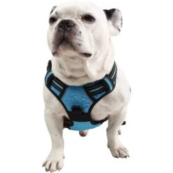 EliteField Padded Reflective No Pull Dog Harness 8 EliteField Padded Reflective No Pull Dog Harness -PetSafe Kong Shop 346586 PT2. AC SS1800 V1641615985