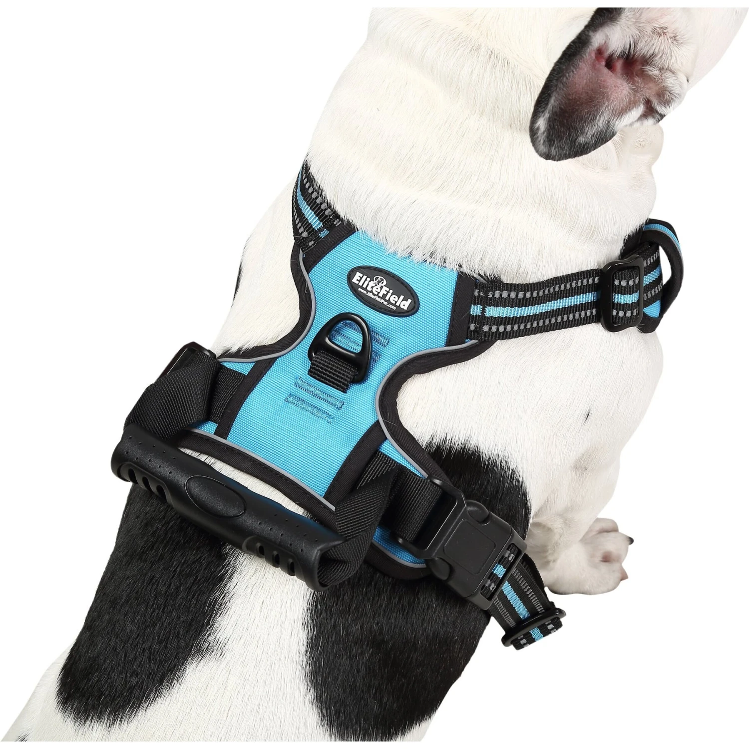 EliteField Padded Reflective No Pull Dog Harness 4 EliteField Padded Reflective No Pull Dog Harness - Image 4