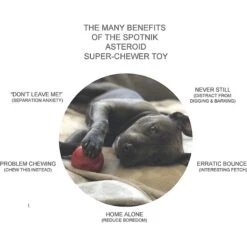 SodaPup Asteroid Rubber Chew Ball & Retrieving Dog Toy 11 SodaPup Asteroid Rubber Chew Ball & Retrieving Dog Toy -PetSafe Kong Shop 346936 PT2. AC SS1800 V1638338501