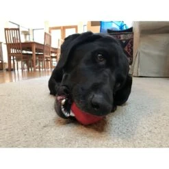 SodaPup Asteroid Rubber Chew Ball & Retrieving Dog Toy 13 SodaPup Asteroid Rubber Chew Ball & Retrieving Dog Toy -PetSafe Kong Shop 346936 PT4. AC SS1800 V1638339723